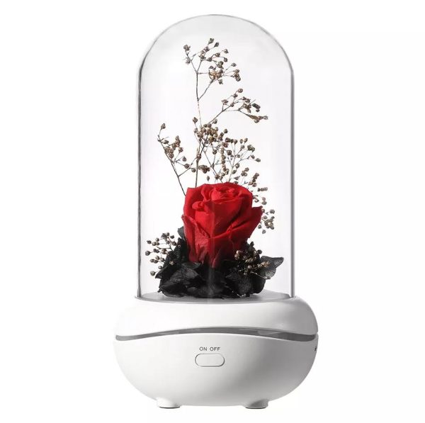 lamp air diffuser